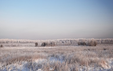 landscape in winter 