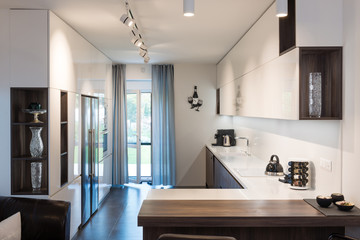 Kitchen interior of modern house