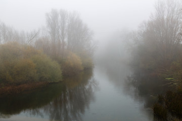 Paisaje en otoño con el Río Órbigo y vegetación de ribera entre la niebla.