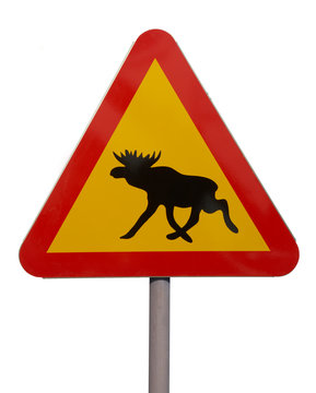 TRIANGLULAR RED AND TELLOW ROAD TRAFFIC SIGN WITH PICTURE OF MOOSE ON WHITE BACKGROUND