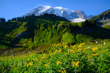 Fototapeta premium Beautiful mountain
