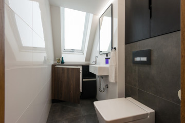 Toilet in modern house