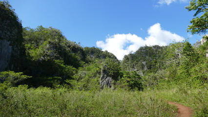 vinales valley