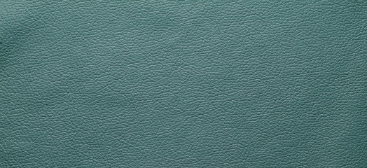 Texture pelle