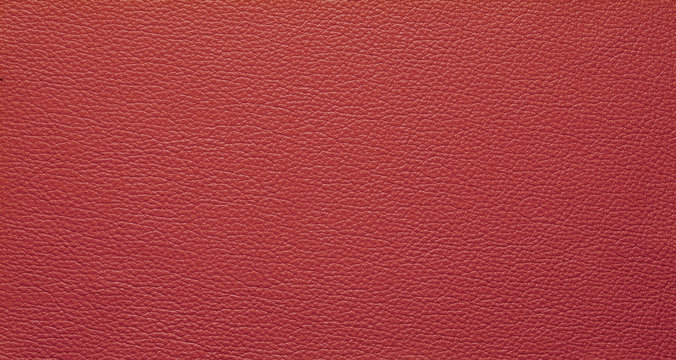 Texture pelle