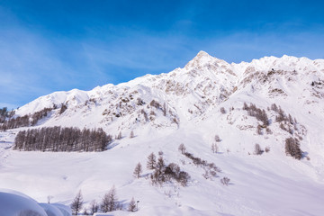 Naklejka premium Winter landscape, Samnaun, Graubunden Canton, Switzerland, Europe