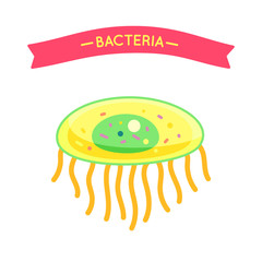 Bacteria Poster with Cell Vector Illustration