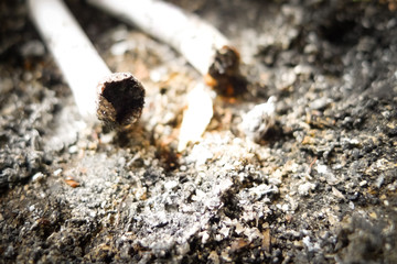 Burnt cigarettes in a dirty ashtray. Stop smoking. No smoking. 