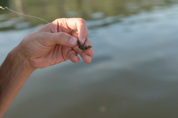 Fisherman’s hand holds fragrant silicone fish bait over blue water.