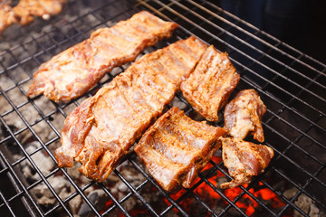 A big delicious piece of grilled meat