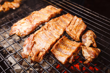 A big delicious piece of grilled meat