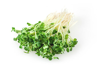 Alfalfa sprouts isolated on white background