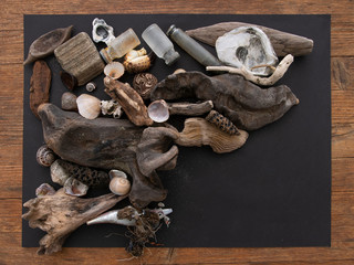 Beachcombing, found objects including old bottles, discarded fishing lure and beautiful natural objects.