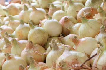 Onion in the market