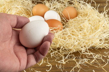 Woman collects eggs in the chicken coop