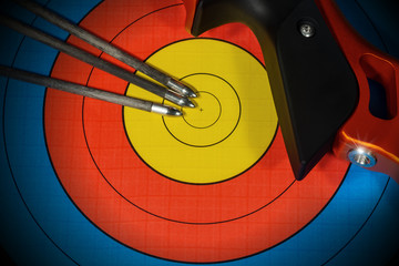 Target with Bow and Arrows - Archery Sport