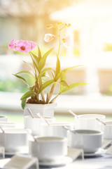 flowers and seasoning bowls at breakfast in the garden of resort or hotel with sunlight effect