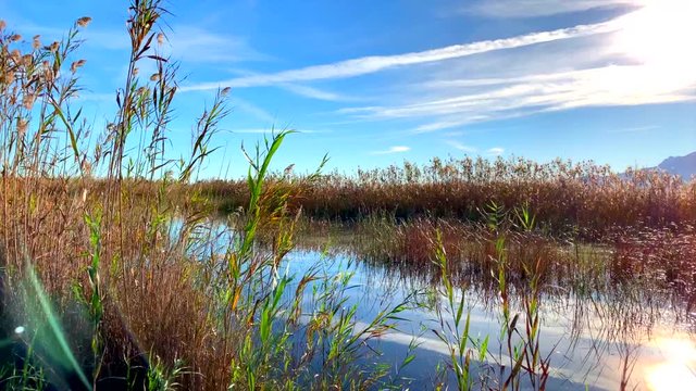 Panoramic view of a bird observatory, in the wetlands natural park La Marjal in Pego and Oliva, Spain
