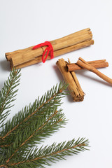 Cinnamon sticks and pods of red pepper next to the fir branches. On a white background.