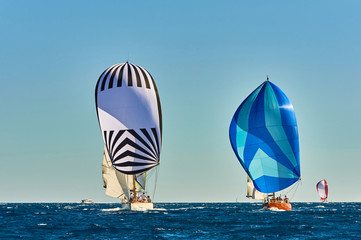 Sailing yacht race. Yachting. Sailing