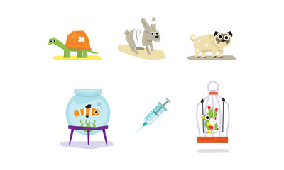 Sick and wounded animals set, veterinary care vector Illustration on a white background