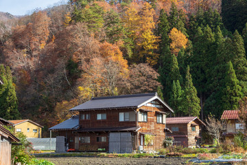Fototapeta na wymiar A rural area in Japan with beautiful scenery of a paddy field, traditional houses and mountains strewn with red autumn leaves