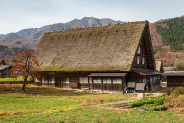 Fototapeta na wymiar A traditional Japanese Wada farmhouse with its characteristic thick thatched roof by a paddy field Shirakawa go in autumn