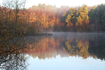 Tranquil Autumn Lake Early Morning in the Woods