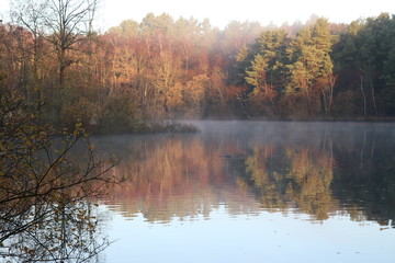 Naklejka na ściany i meble Tranquil Autumn Lake Early Morning in the Woods