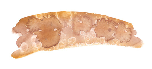 Wide neutral brown stripe painted in watercolor on clean white background