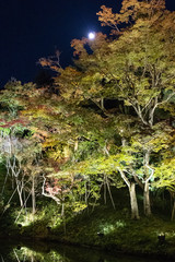 Night View Kodaiji 