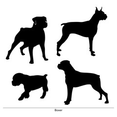 Boxer breed dog. Vector silhouette of the dog