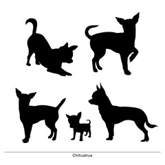 Chihuahua breed dog. Vector silhouette of the dog