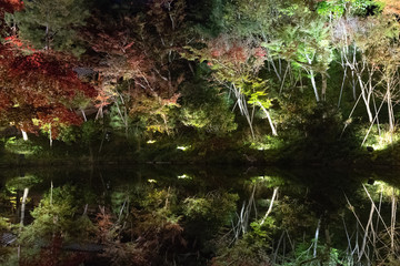 Night View Kodaiji 