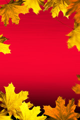 Naklejka na ściany i meble Autumn background. Leaves frame on the red background