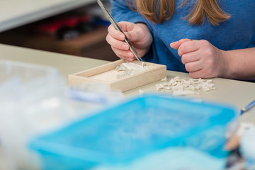 Hands Artist working on stones mosaic