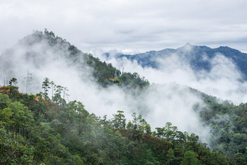 Aerial view of foggy green mountain