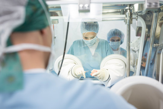 Scientists processing human tissue in insulator laboratory