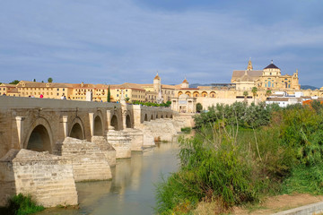 Obraz premium Roman bridge of Cordoba