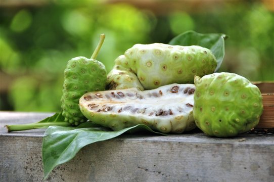 Noni Fruit   (Morinda Citrifolia) 