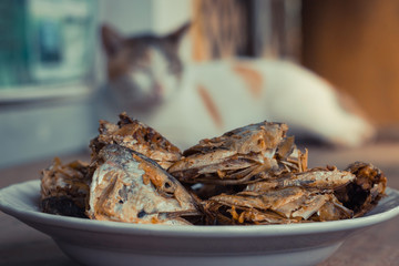 Sleeping cat watch deep Fried Fish Head. Selective focus on the