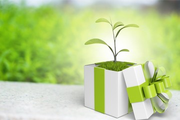 Gift.