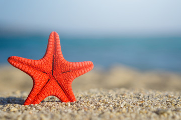 Red starfish pinned on sand at the beach. Blue sea on background