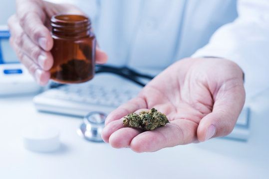 doctor man with some marijuana buds in his hand