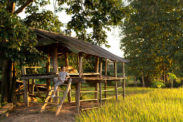 woman in the field rice  by sit on the cottage in the relaxing with sunset light