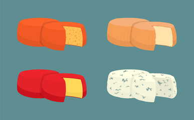 Hard Cheese Icons Closeup Set Vector Illustration