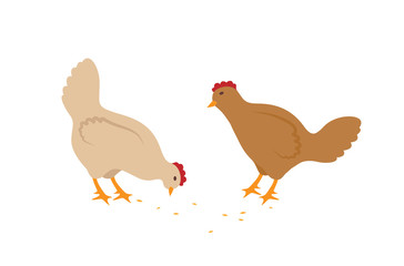 Hens Eating Seeds Vector Set in Cartoon Style
