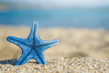 Fototapeta na wymiar Blue starfish pinned on sand at the beach. Blue sea on background
