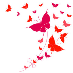 beautiful red butterflies, isolated  on a white