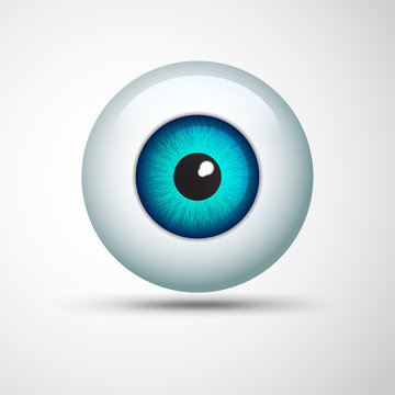 vector of realistic eye ball in green-blue tone